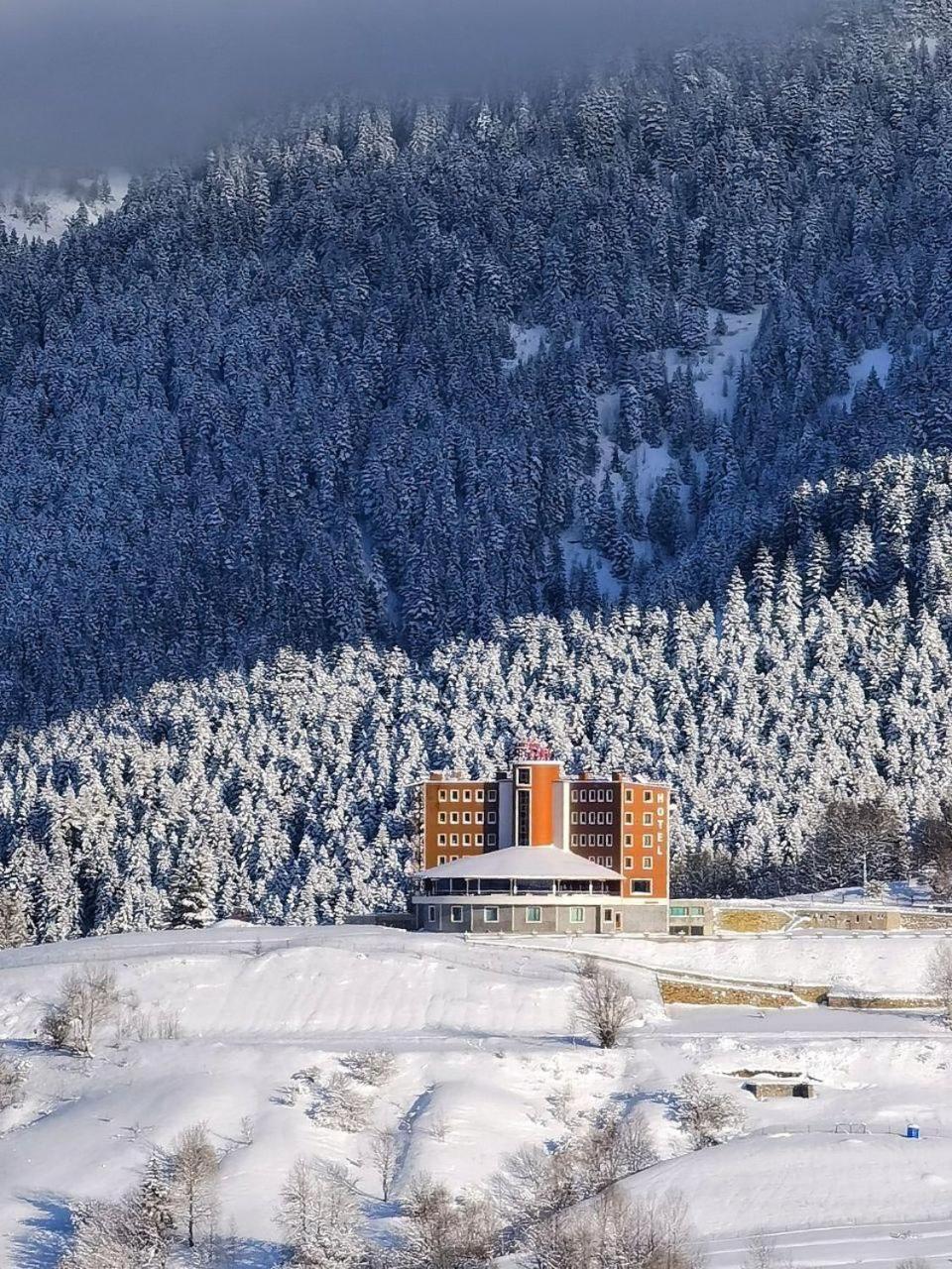 Black Forest Hotel Savsat Extérieur photo