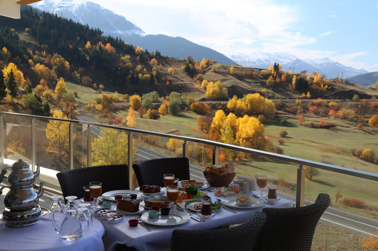 Black Forest Hotel Savsat Extérieur photo