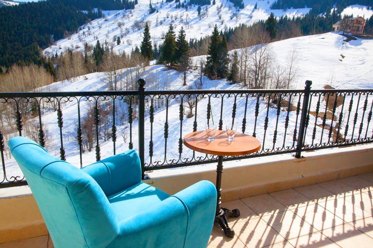 Black Forest Hotel Savsat Extérieur photo
